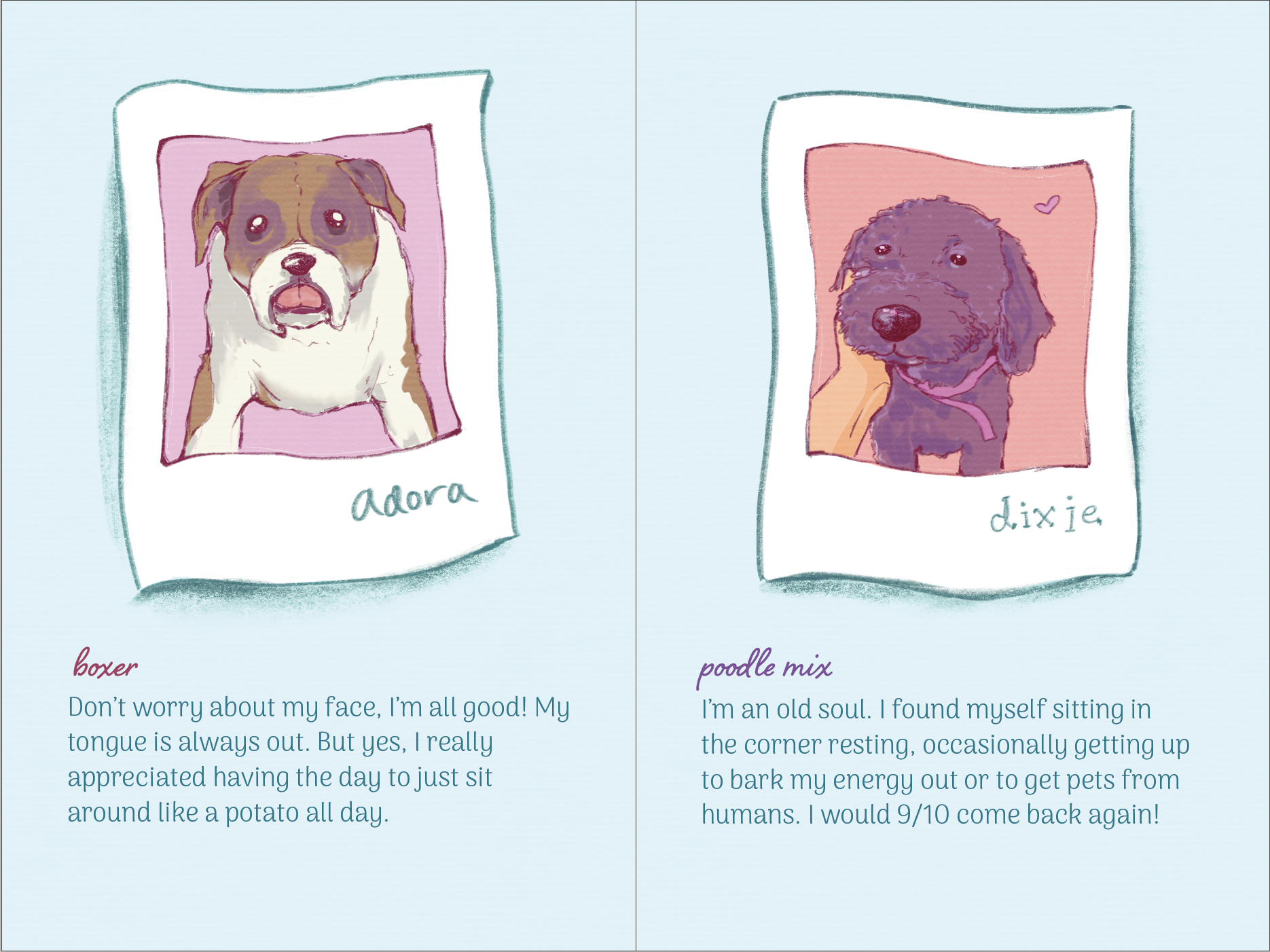 dog book 3