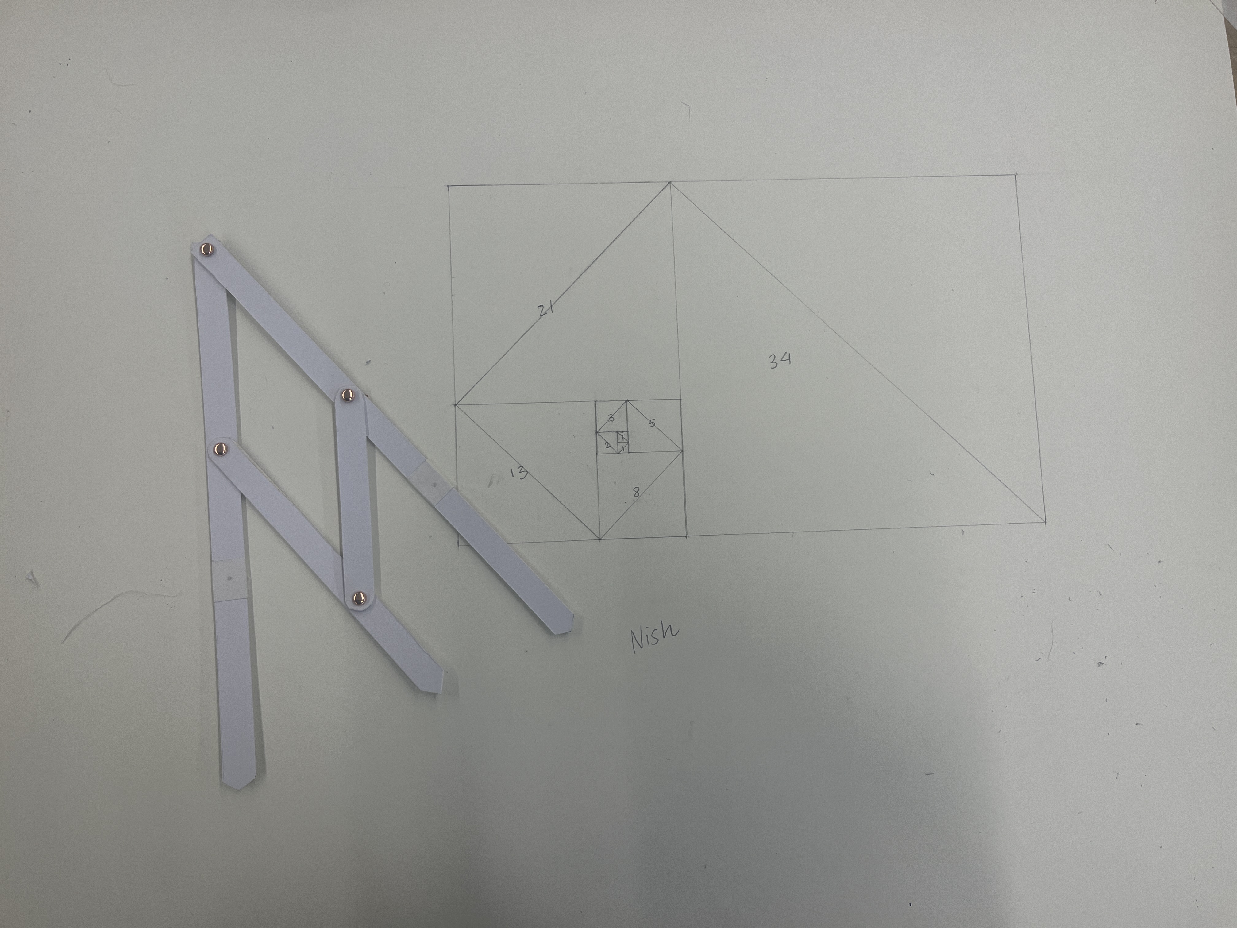 Fibonacci Shoulder Pads