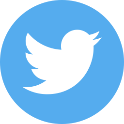 Twitter twitter icon