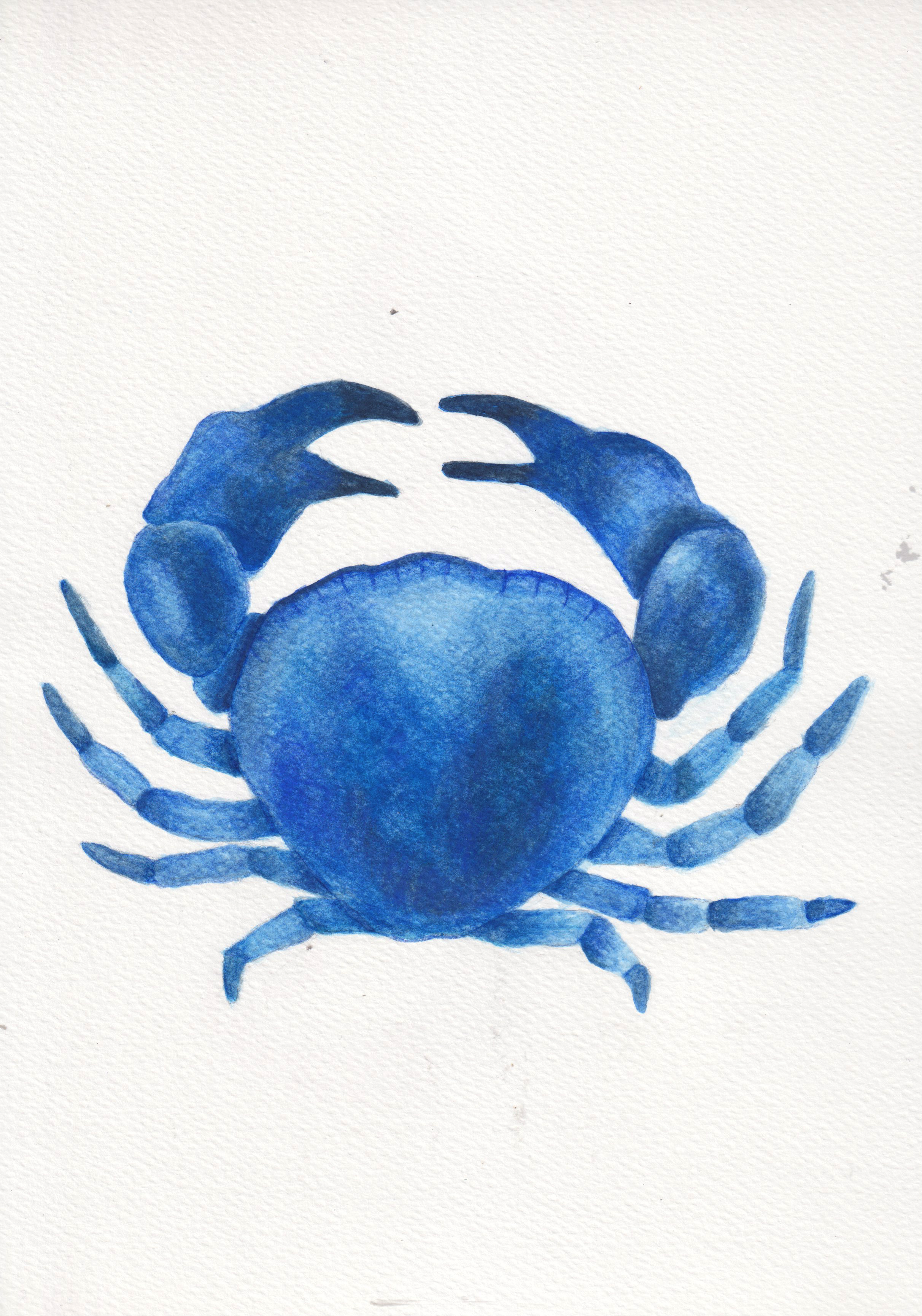 crab