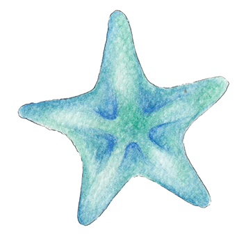 starfish