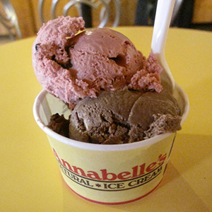 annabelle's natural ice cream