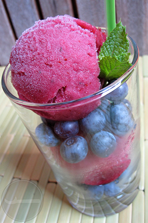 blueberry mojito sorbet