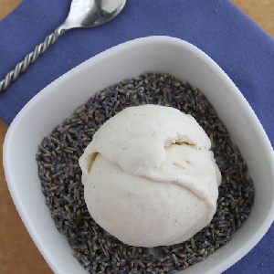 lavender vanilla ice cream