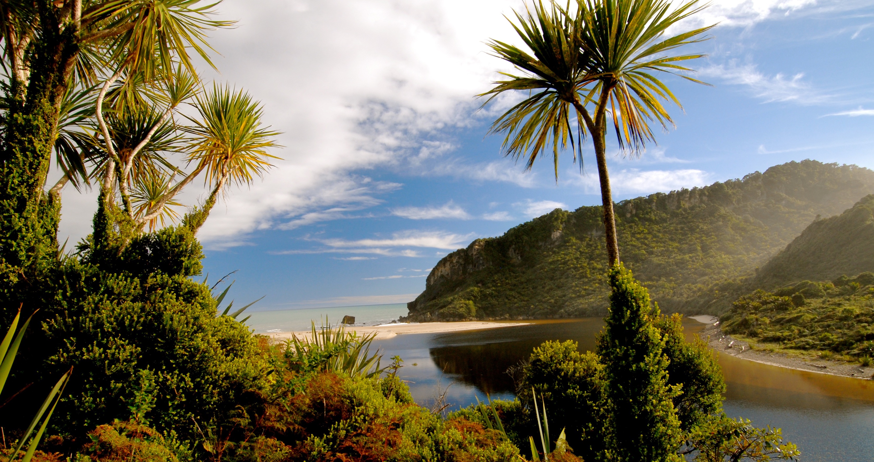 Heaphy Track