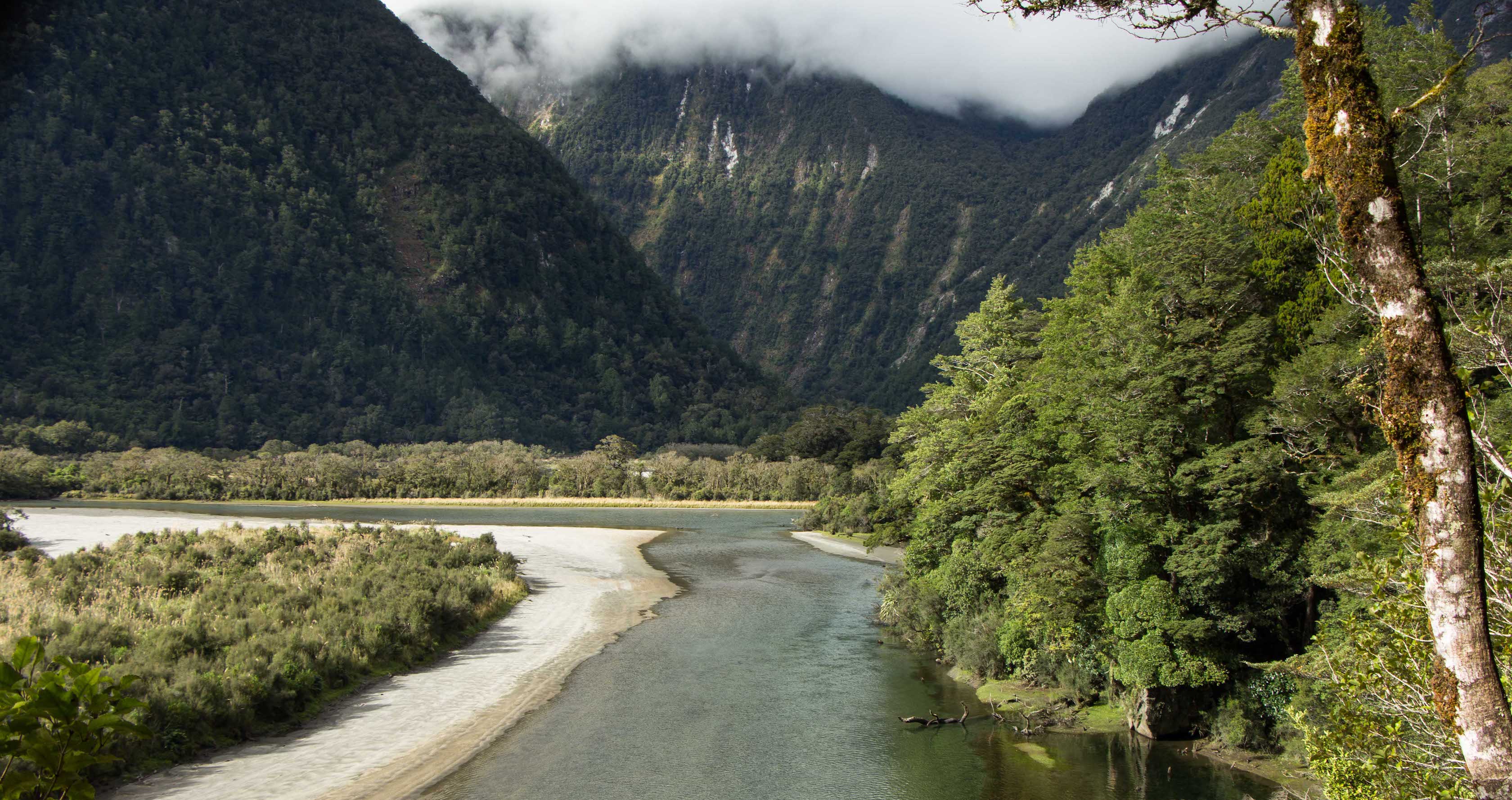 Milford Track