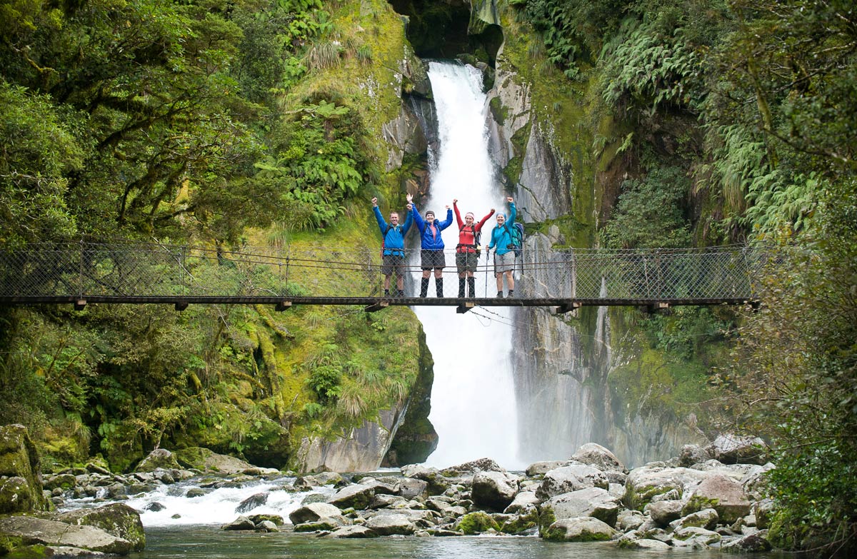 Bridge on Milford Track