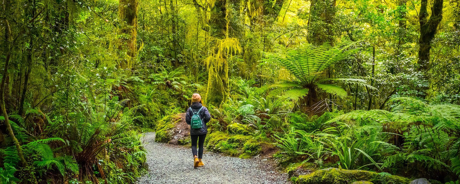 Walker on Milford Track