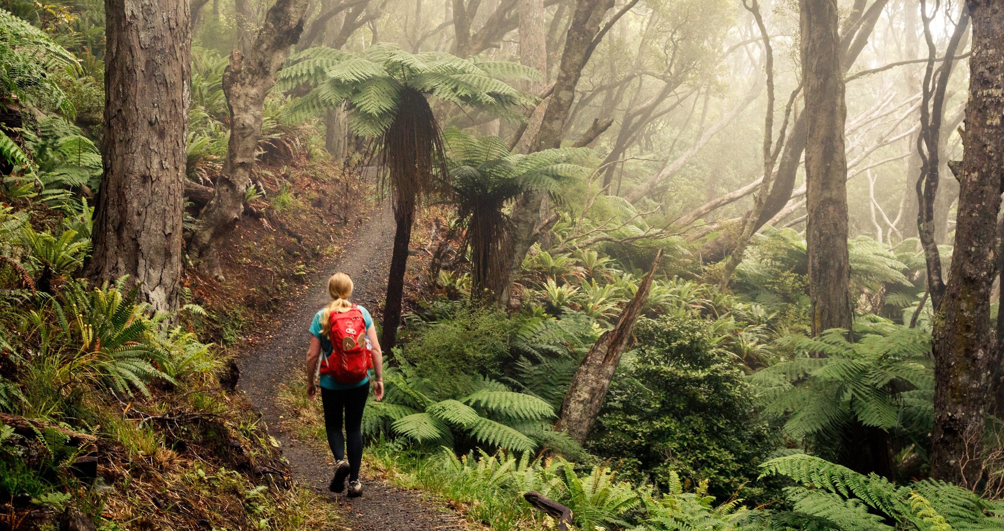 Rakiura Track