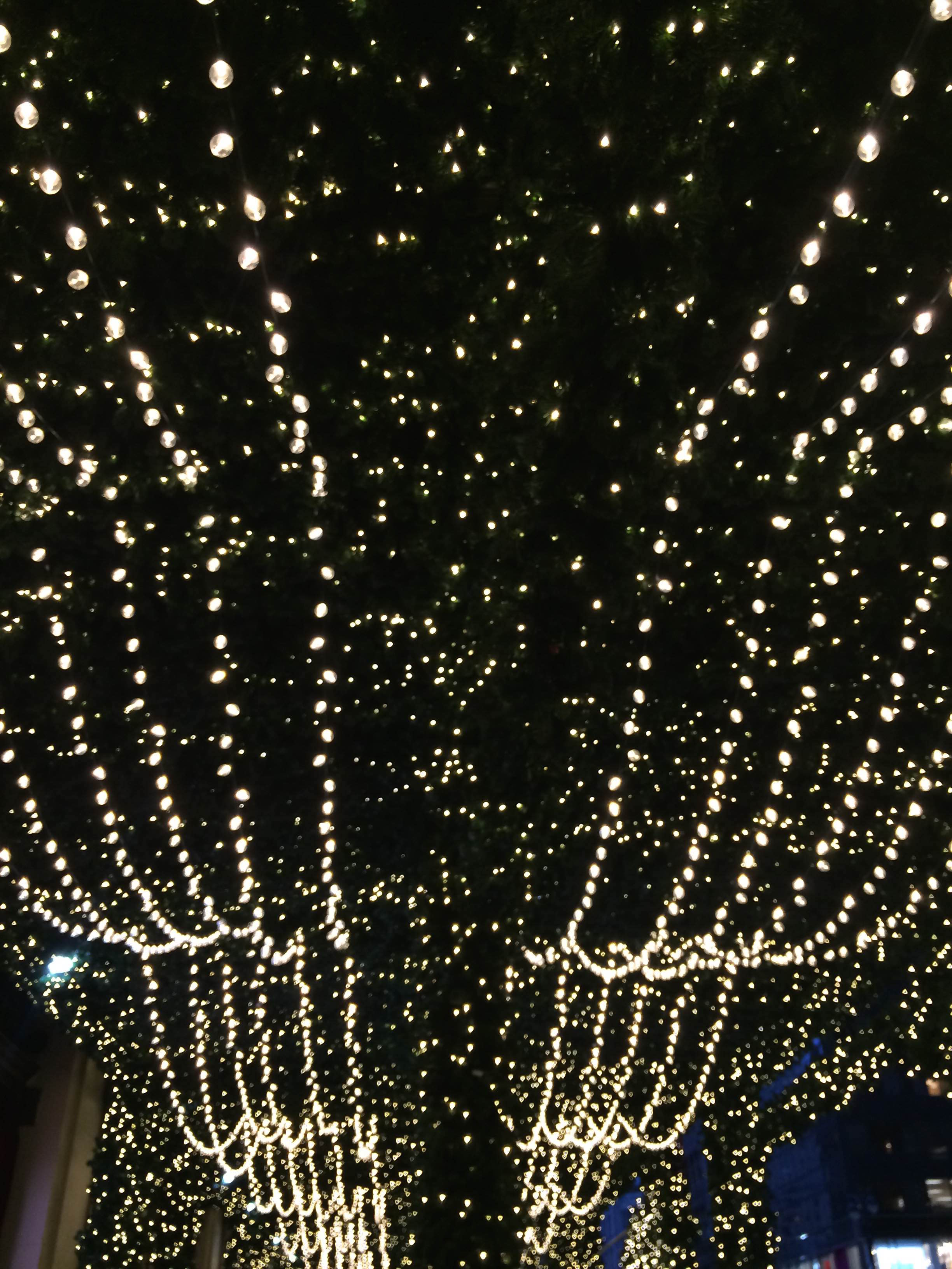 nyc