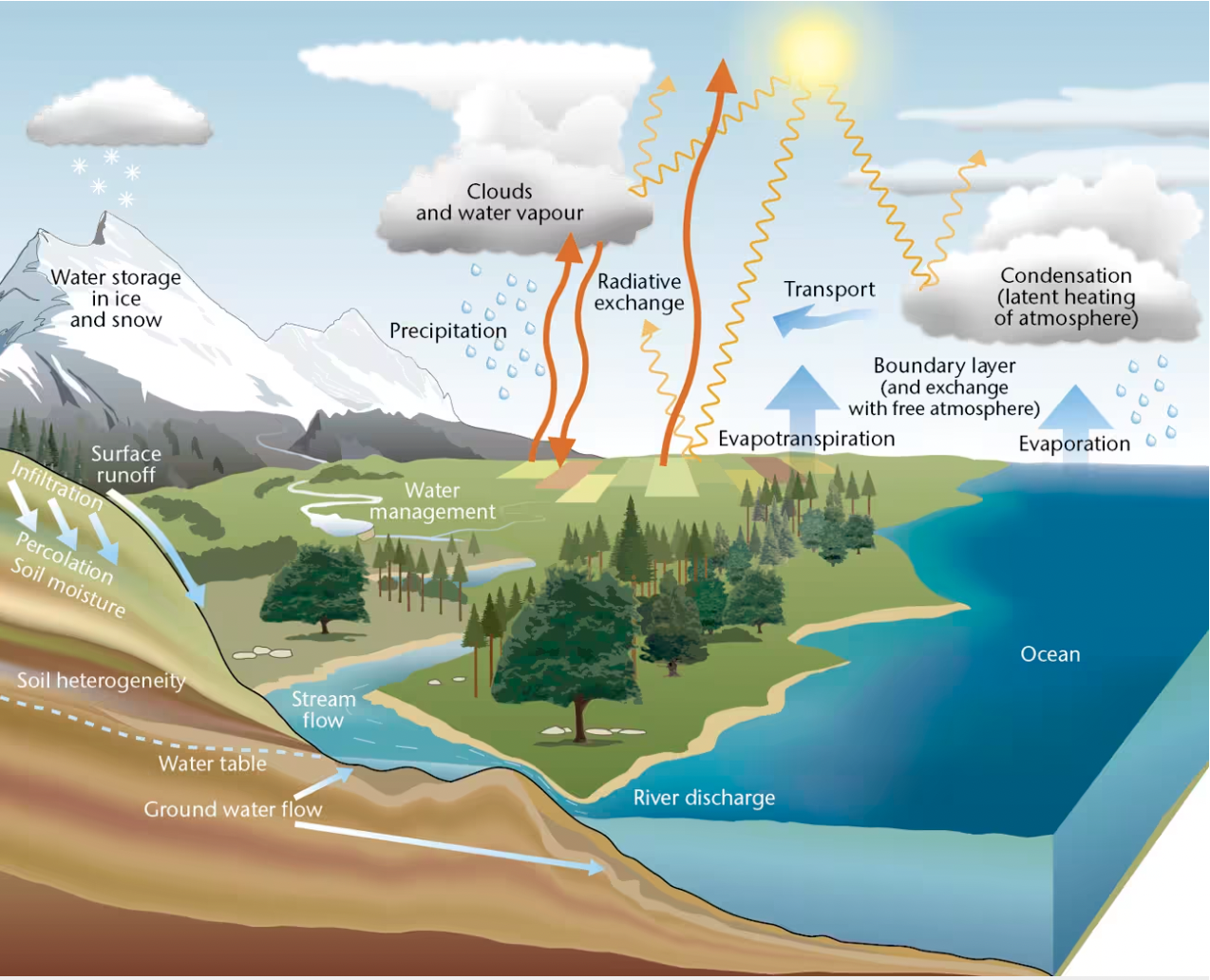 Water cycle diagram