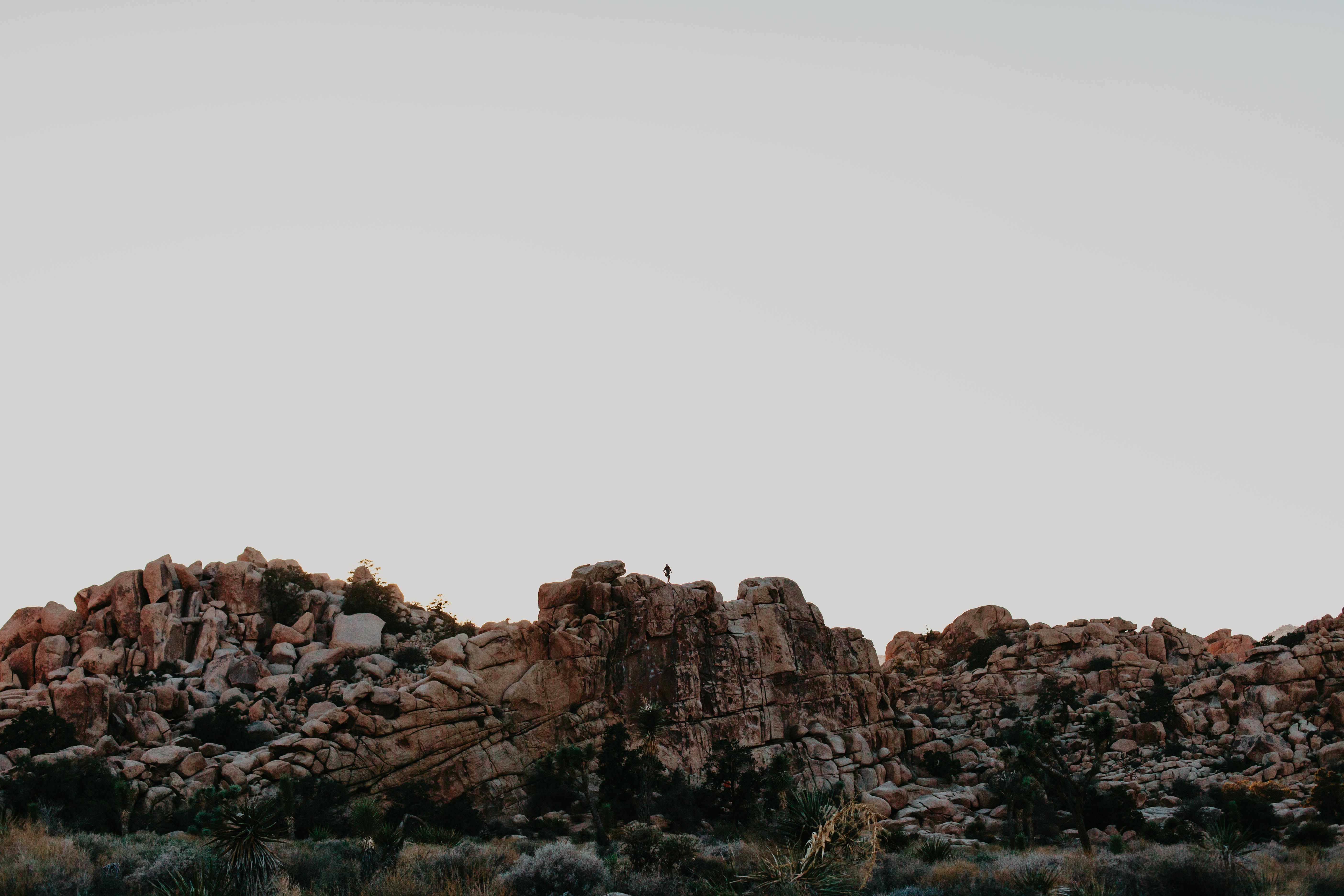 hiker in joshua tree