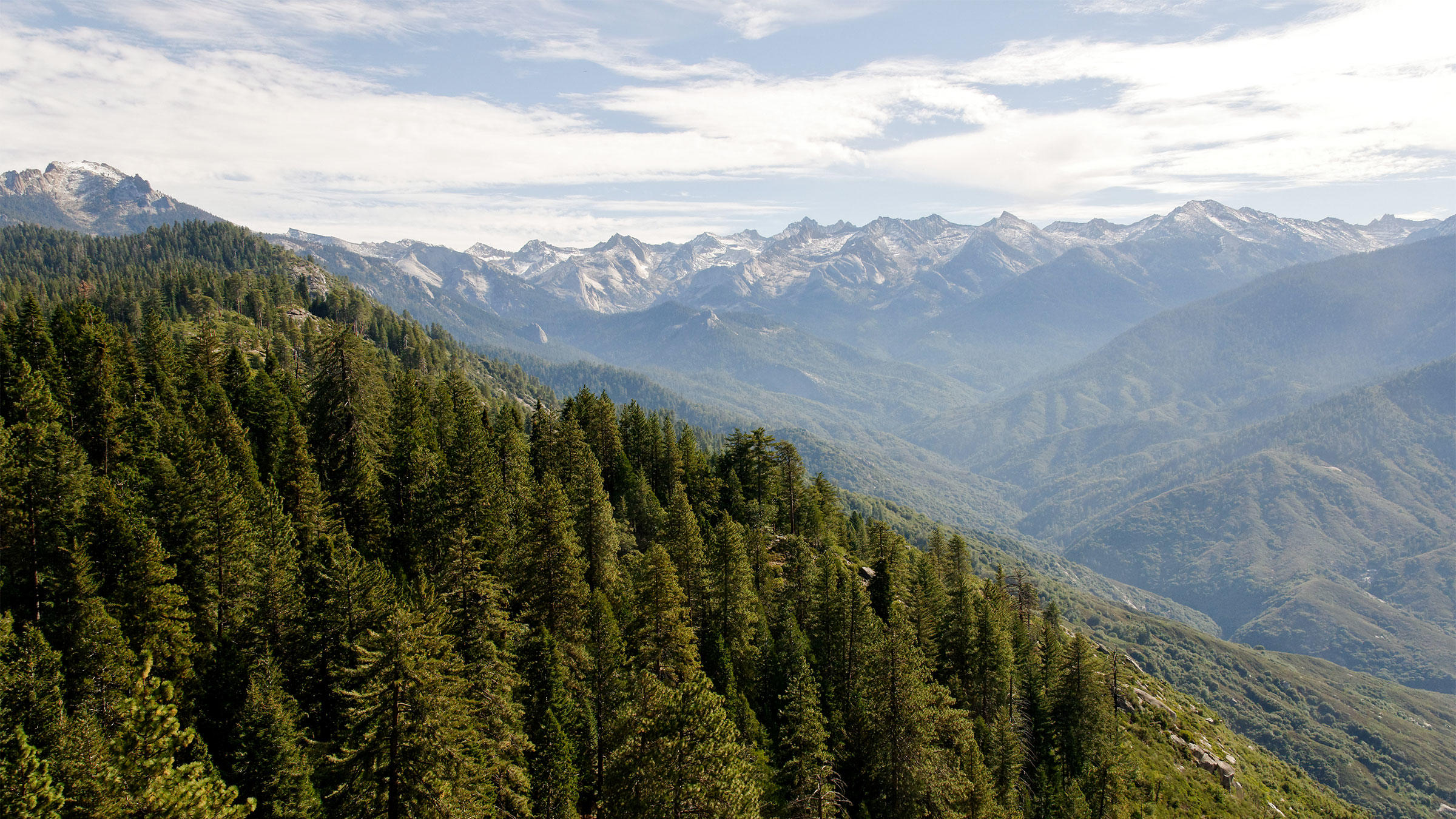 sequoia national park and kings canyon national park