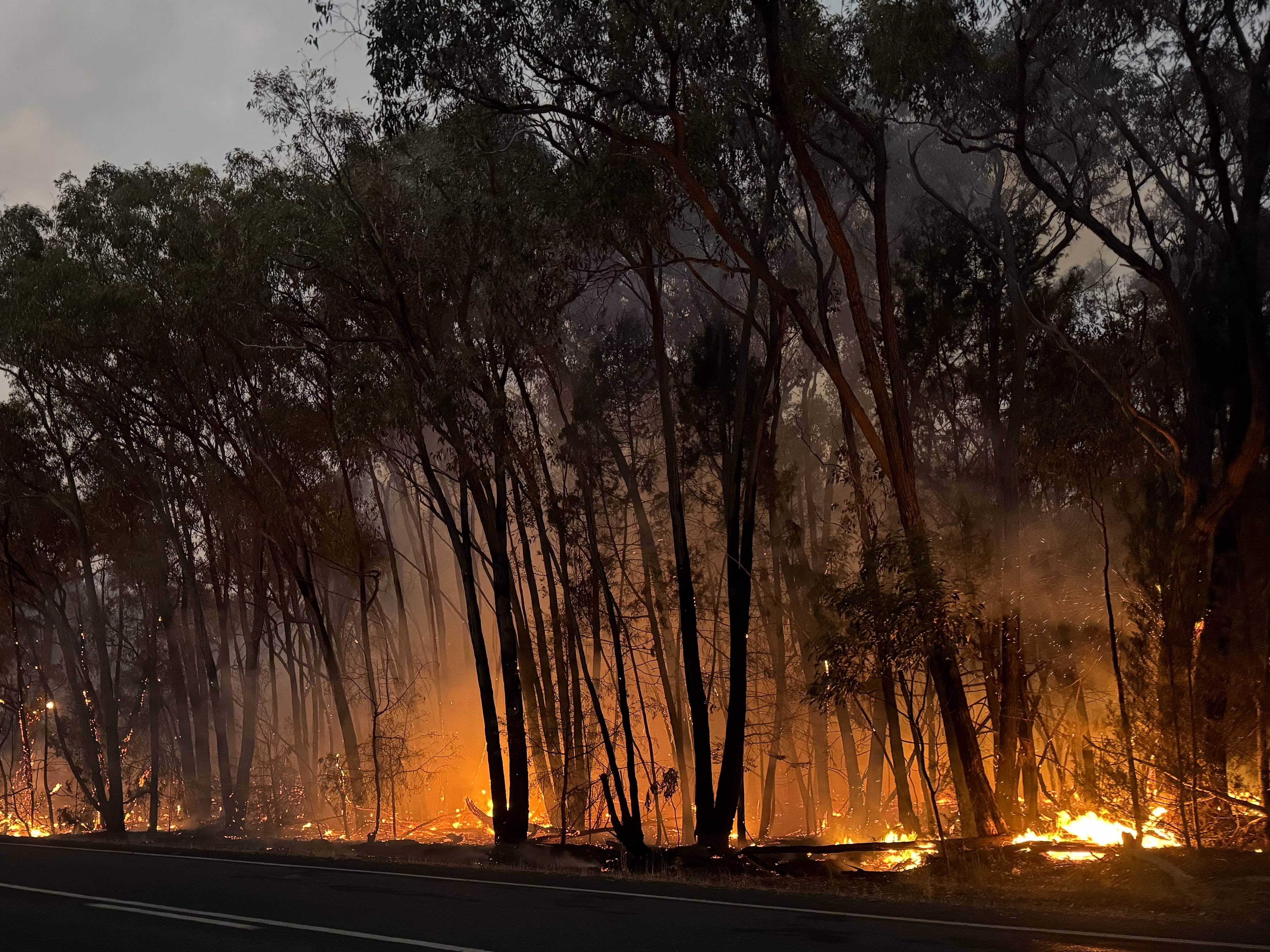 Bushfire in Grampians National Park