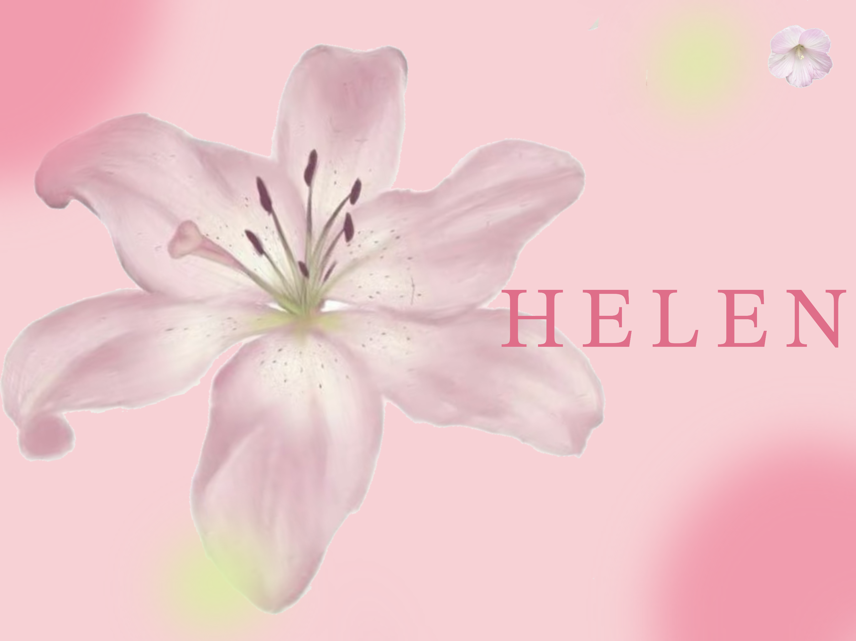 Final Desktop Photoshop Comp