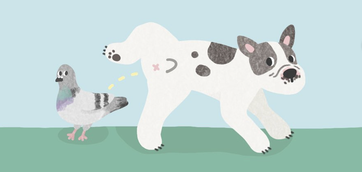 illustration
