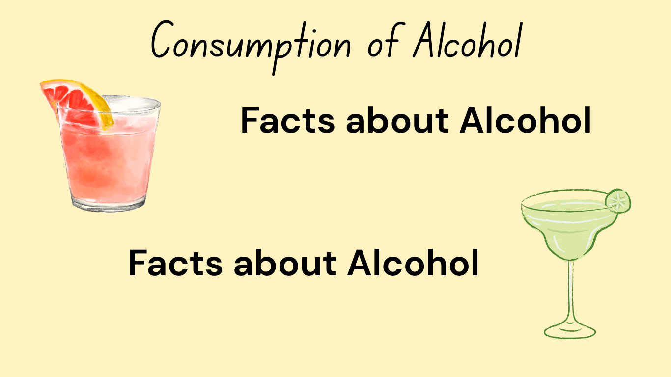 website layout sketch