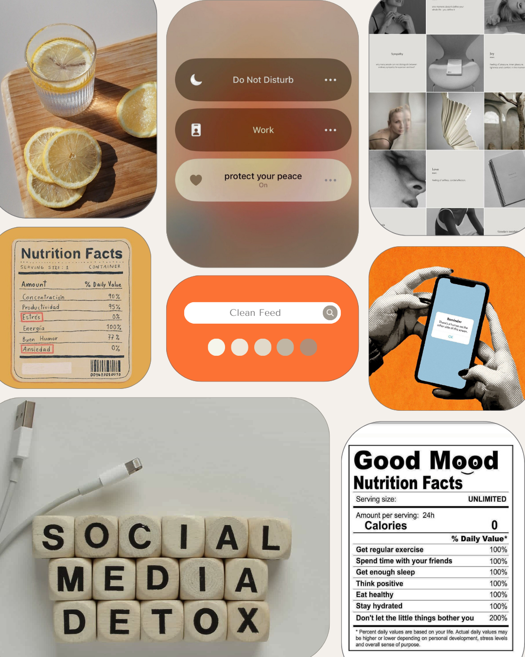 Moodboard for Clean Feed project