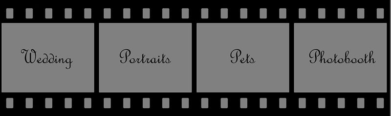 Film strip showing gallery categories