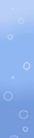 bubble column