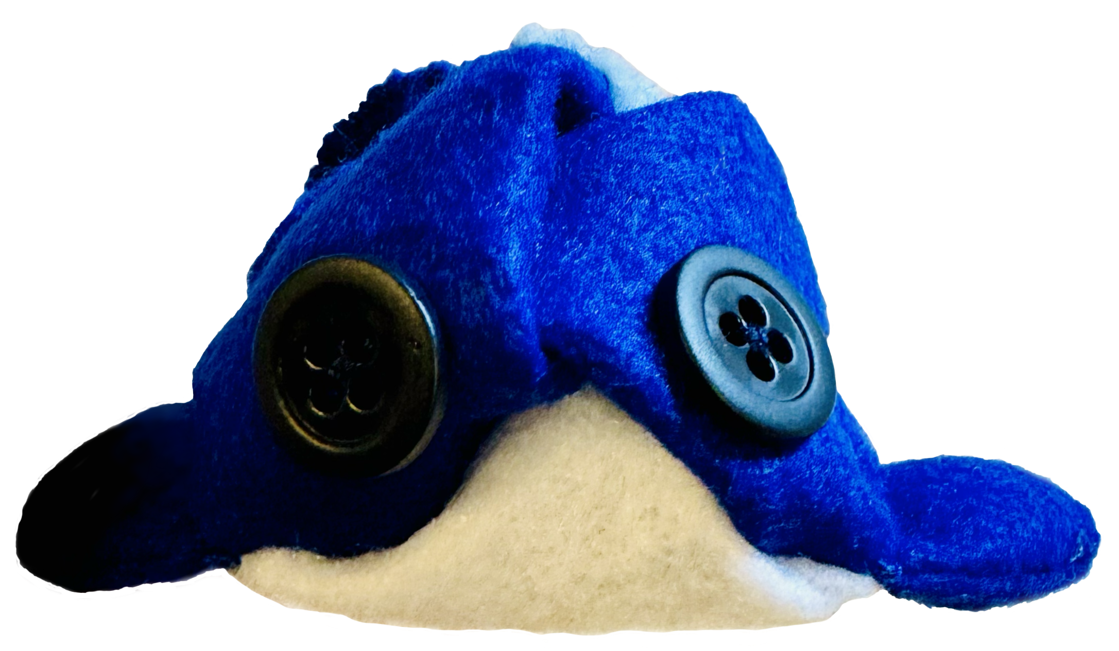 flat whale skin