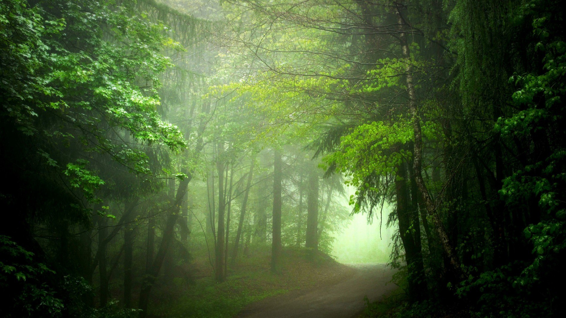 Protecting Our Planet