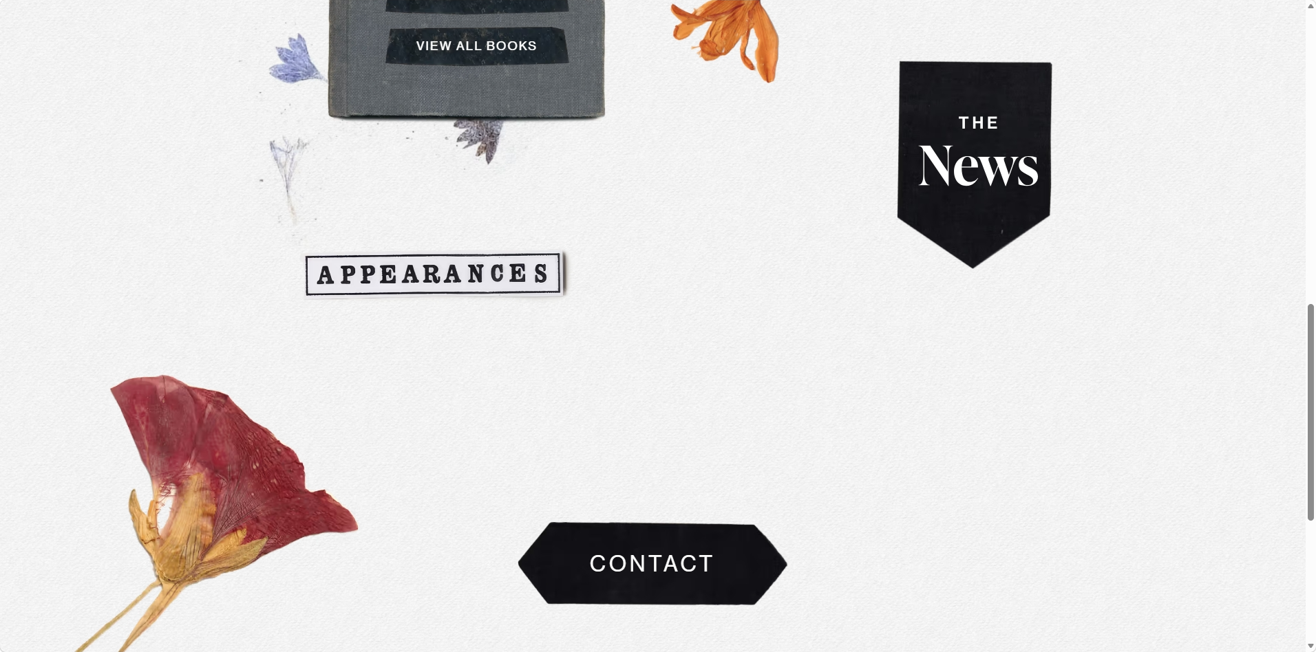 tahareh mafi's website screenshot 3
