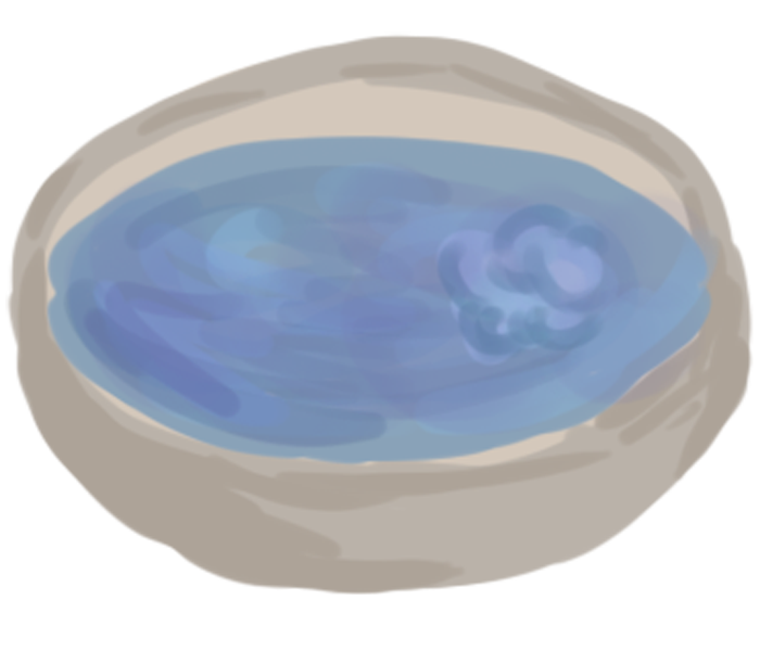 icon2