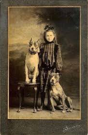 pitbull with child