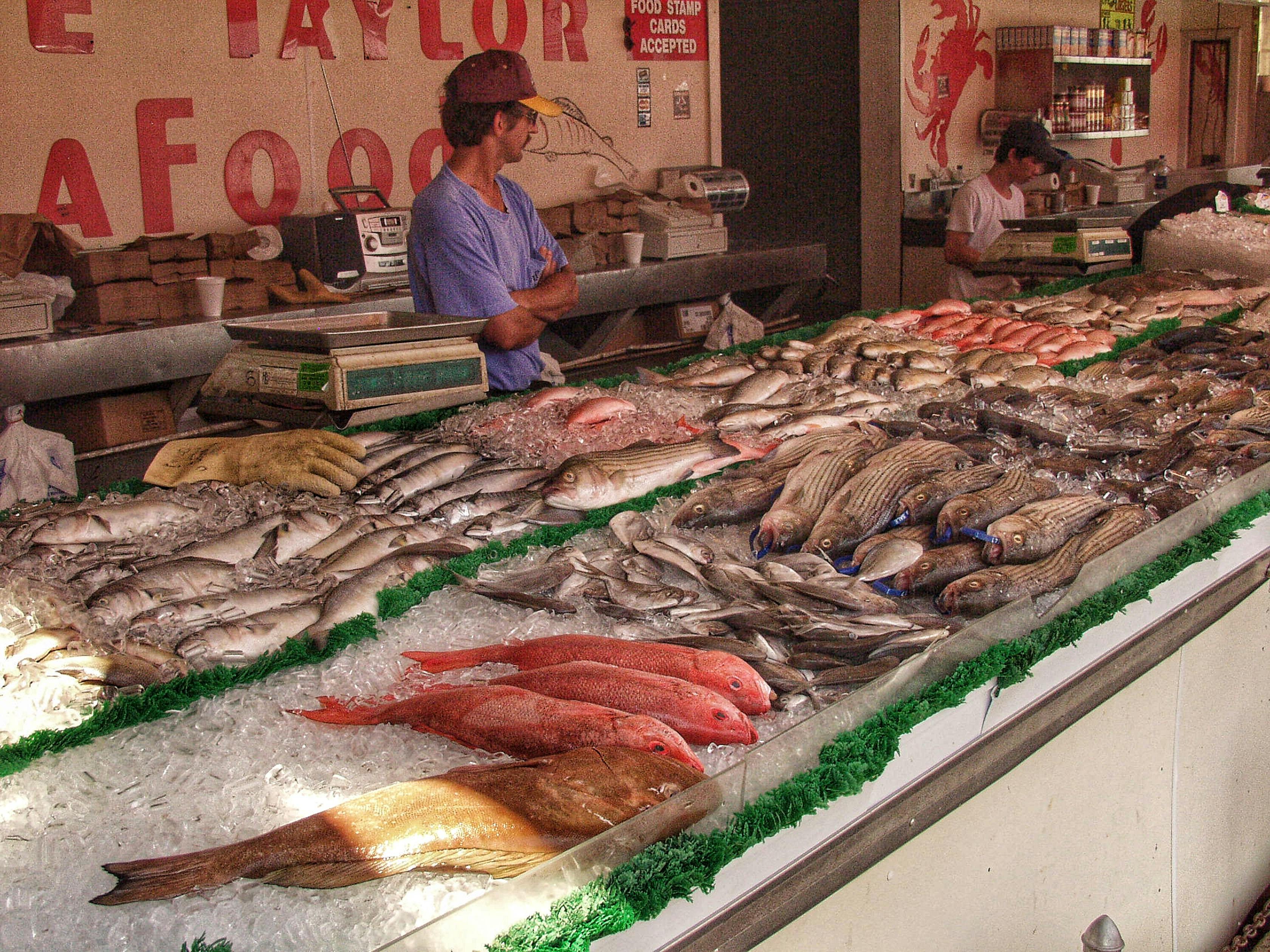 Seafood
