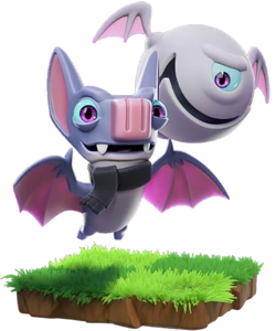 Pet